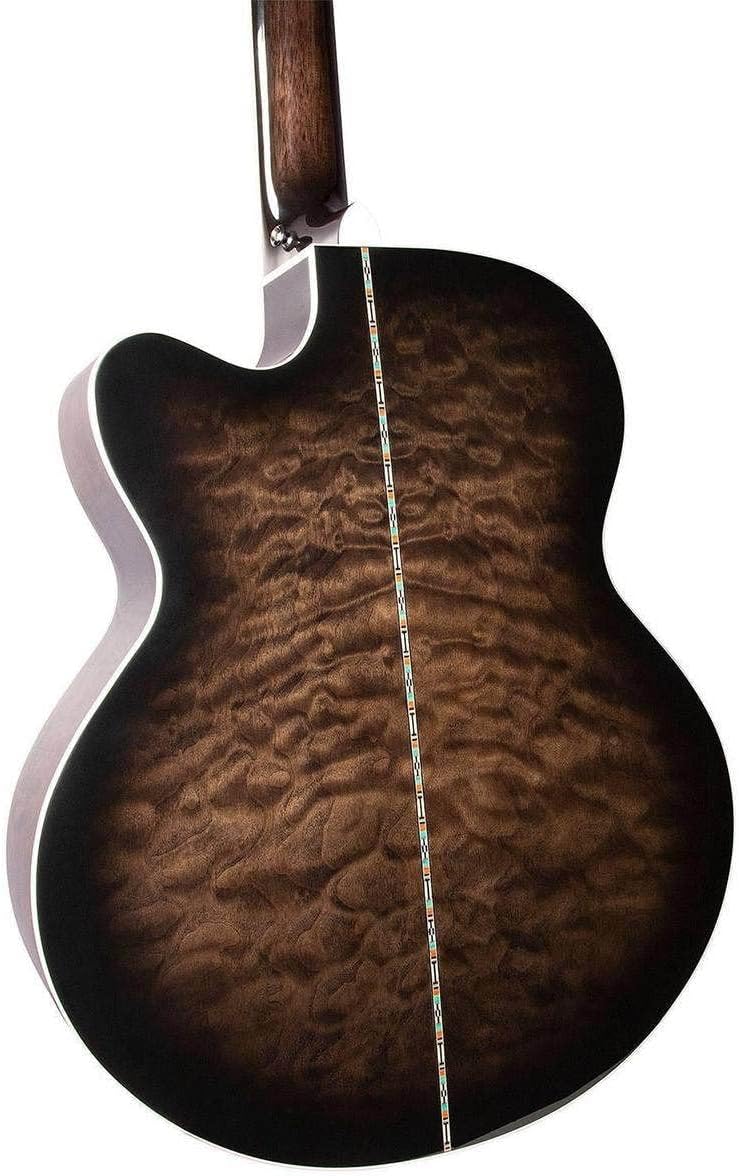 Michael Kelly Dragonfly Fretless 5 5 String Acoustic Electric Bass Guitar