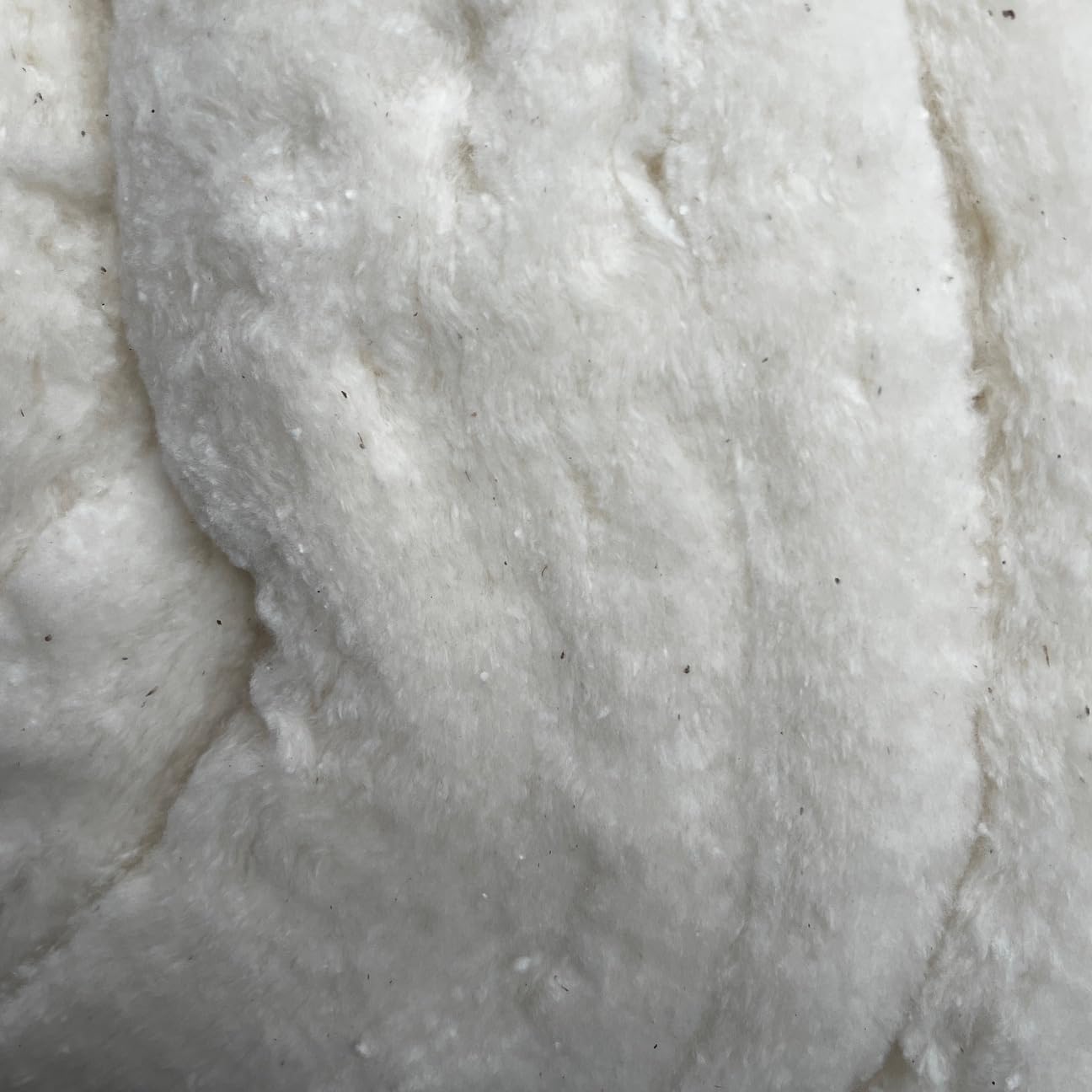 Ouate de bricolage 100 % coton peigné 3 kg fine (EUR 24,50 kg / kg) compostable, lavable, ouate de remplissage, matériau de remplissage 100 % naturel renouvelable pour ours, coussins, etc.