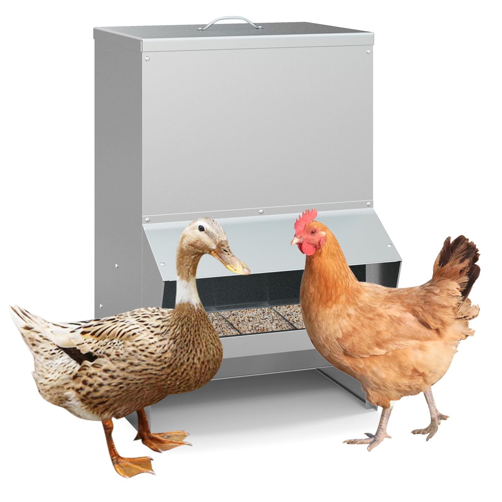 GYMAX Comedero para Pollos Galvanizado, Alimentador de Aves de Corral con Capacidad de 22 KG, Tapa, Marquesina, Dispensador de Alimentos, Comedero Semicerrado Montado en Pared para Pollos, Patos