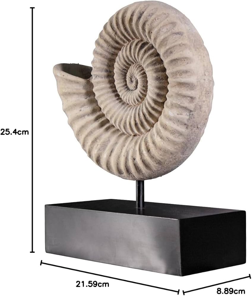 アンモナイト　化石　置物 Amazon.co.jp: トスカーノアンモナイト化石彫刻を博物館マウントに