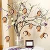 OurWarm 10pcs Good Lucky Horseshoe Wedding Favors with Kraft Tags Rustic Horseshoe Gifts for Vintage Wedding Party Decorations #5