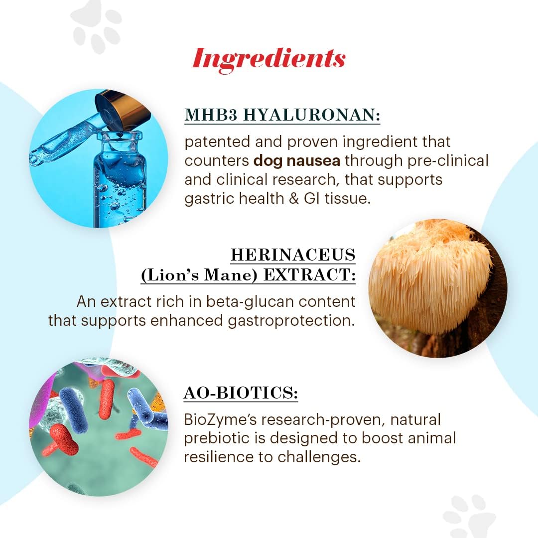 Vitalize Alimend K9 - Dog Upset Stomach Relief for Nausea, Vomiting & Diarrhea - 6 Oz