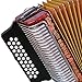 Hohner Corona II F/Bb/Eb Accordion - Pearl Red Bundle with Case, Gig Bag, Straps, and Austin Bazaar Polishing Cloth