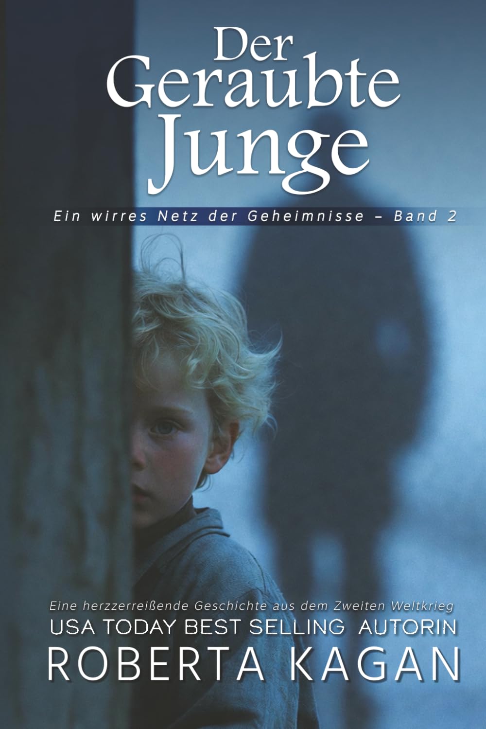 Der geraubte Junge (Ein wirres Netz der Geheimnisse)