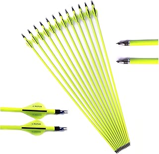 12pc ID 6.2mm .244" Custom Length Carbon Arrows 22-30 Inch Spine 500 Target Practice & Hunting Arrow Rotatable Nock for Recurve Bow Compound Bow Adult Youth Shooting
