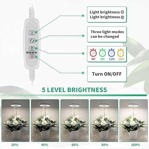 Miniatura 3 de GYTF Paquete de 2 luces de cultivo de plantas Halo, 6000 K LED blanco de espectro completo para plantas de interior, suculentas, mini bonsái,