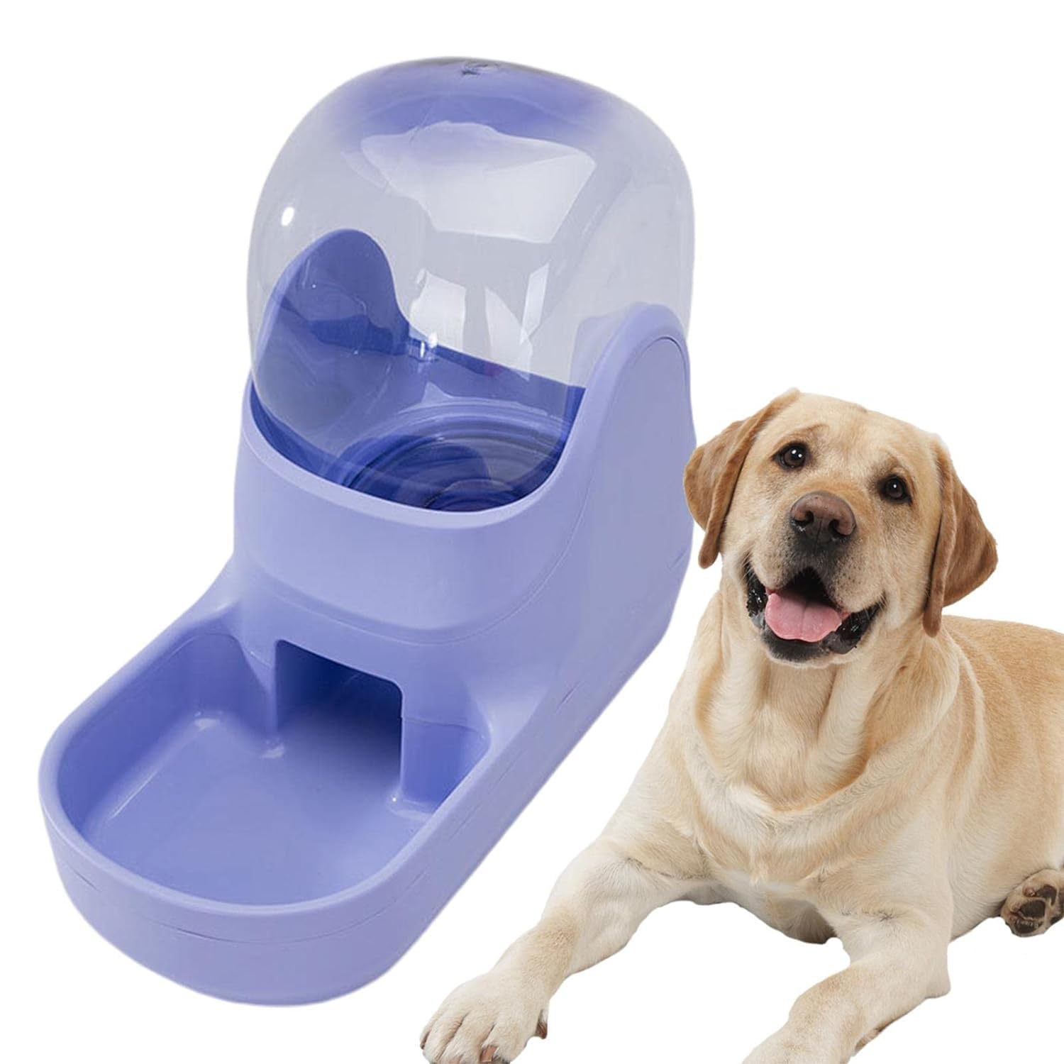 COSKIRA 3.5L Pet Water Dispenser, Transparent Colorful Automatic Pet Water, Small Medium Pets Automatic, for Dogs Cats Pets Animals, Easily Clean Transparent Tank with Lid,Non-Slip Bottom Space -1 (B0CLJGYW4Q) Amazon Price History, Amazon Price Tracker