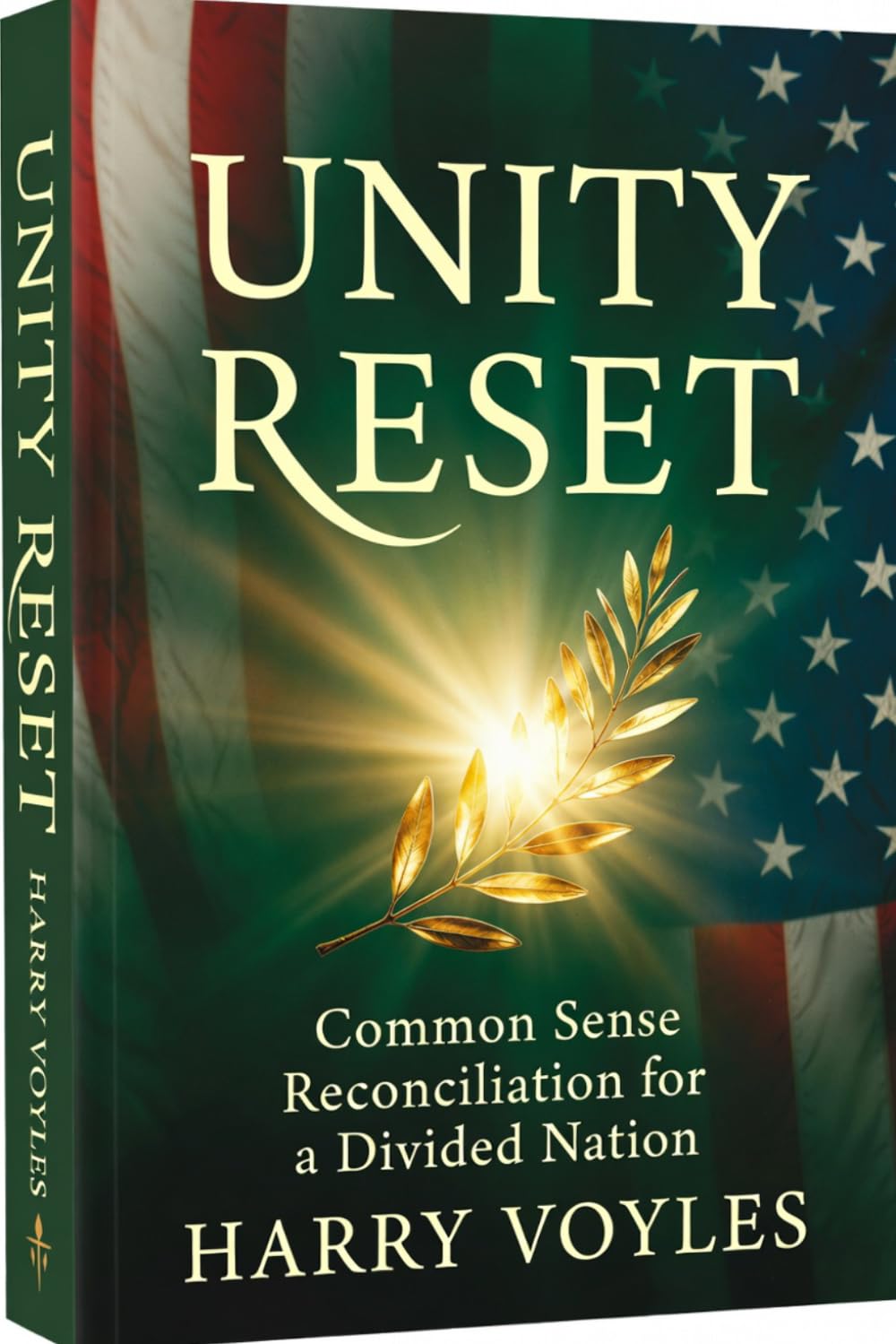 Unity Reset - Common Sense Reconciliation for a Divided Nation