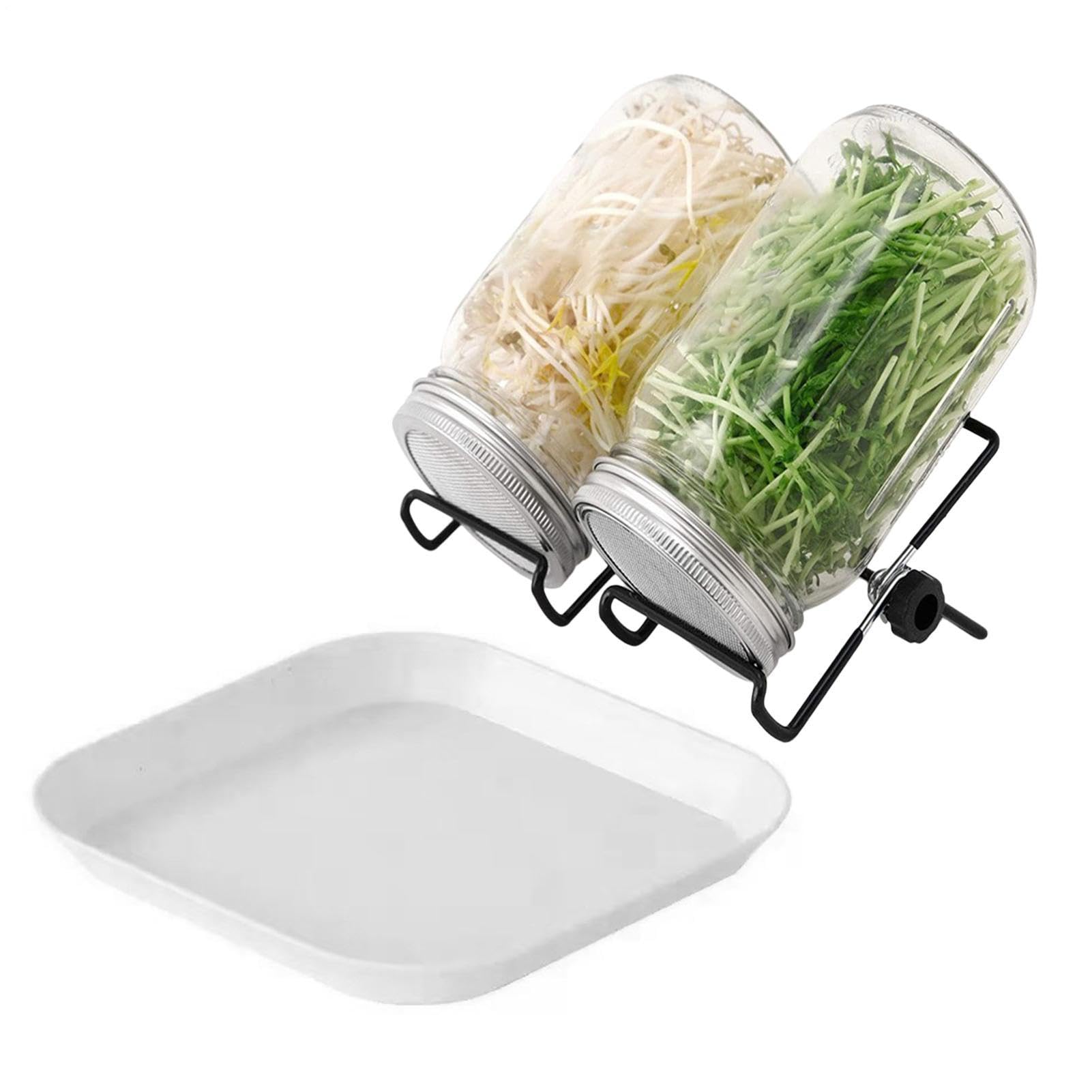 Kit de Germination pour la Maison Légumes Santé à