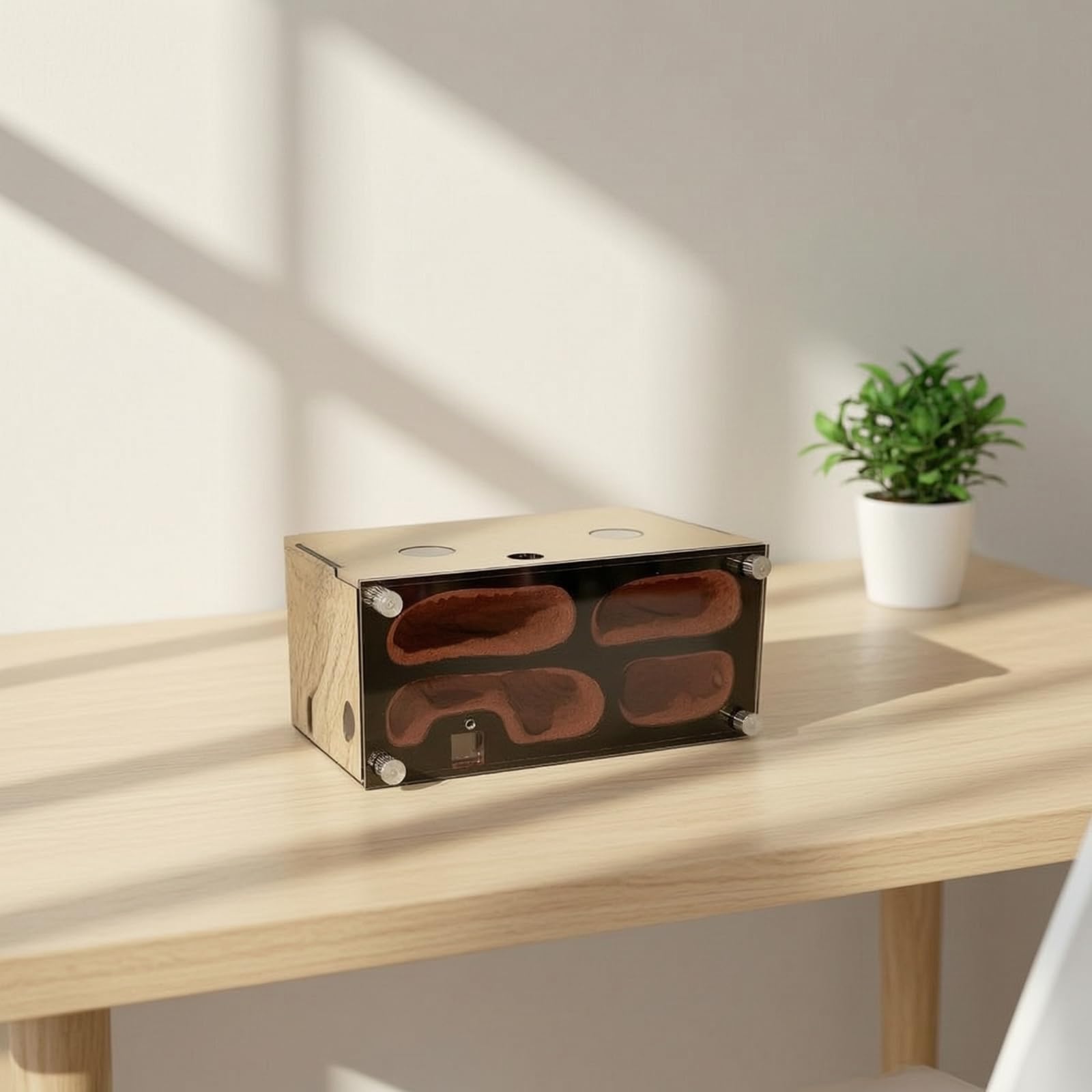 Formicaio in Acrilico Modulare Kit Nido di Formiche Trasparente Habitat per Appassionati, Mirmecologi, Osservazione Scientifica, Nido B Normale