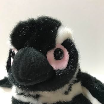 Amazon.co.jp: マゼランペンギン ぬいぐるみすみだ水族館