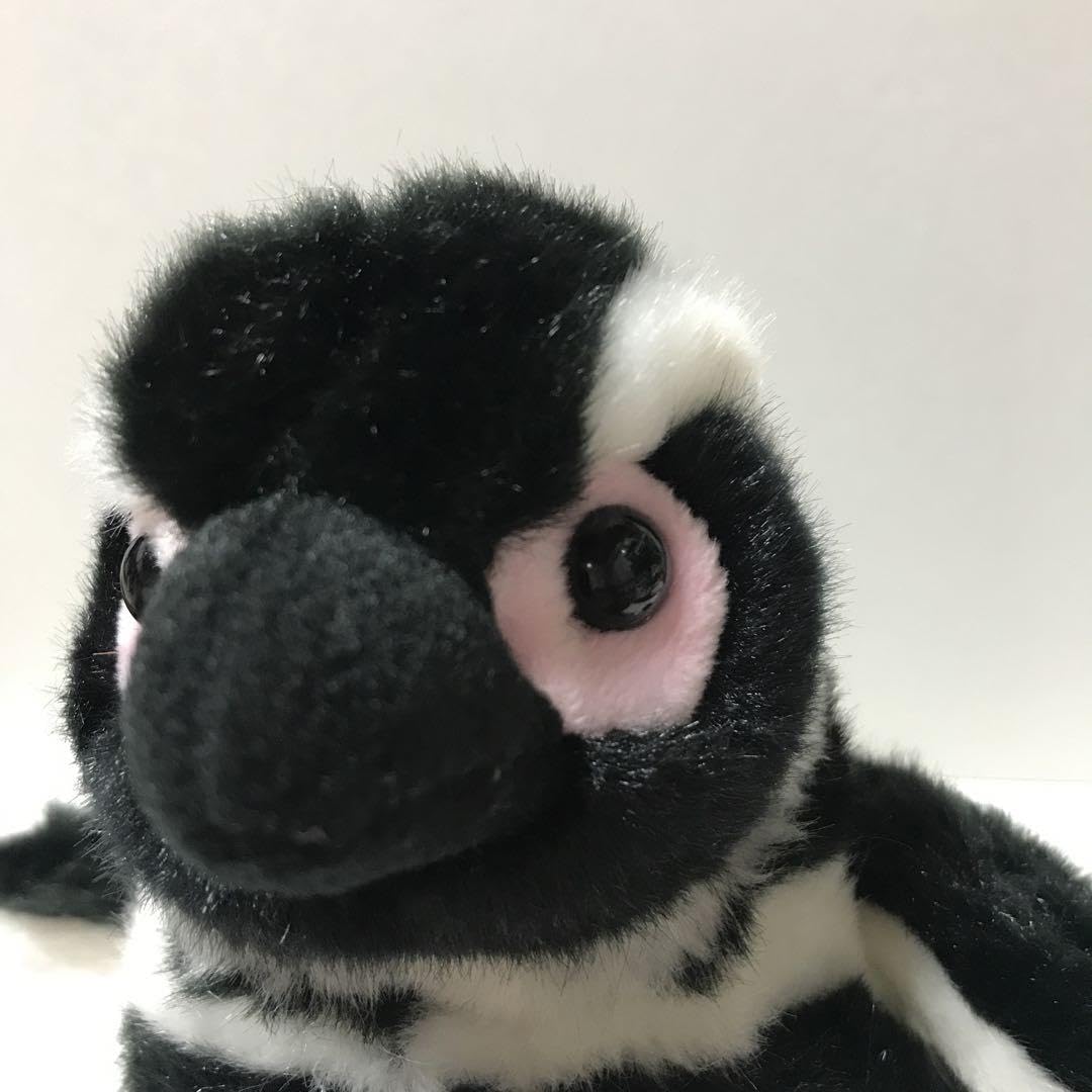 Amazon.co.jp: マゼランペンギン ぬいぐるみすみだ水族館