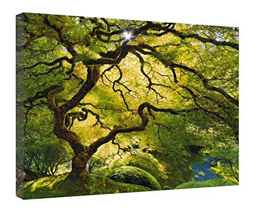 Impressions sur toile murale 40x50 cm cadre en bois vert forêt decoration interieure
