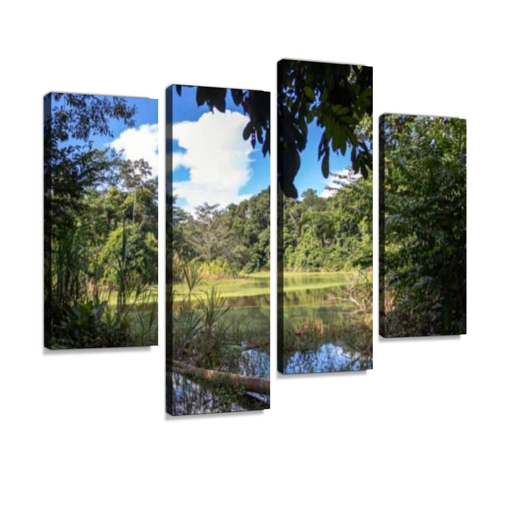 4 Panel Canvas Pictures Green lake in the middle of Bolivian rainforest Madidi national park Home Decor Gifts Canvas Wall Art for your Living Room