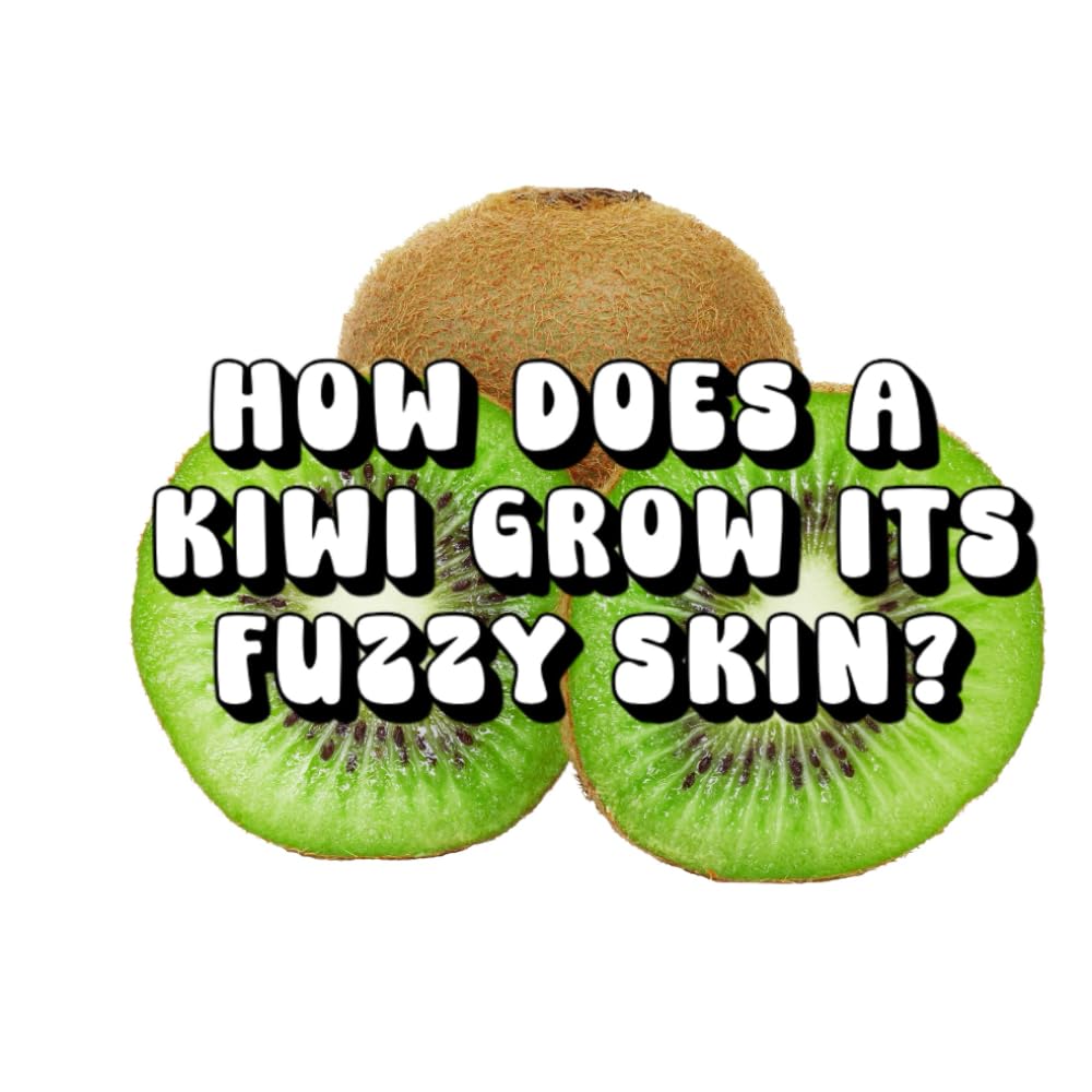 How Does a Kiwi Grow Its Fuzzy Skin