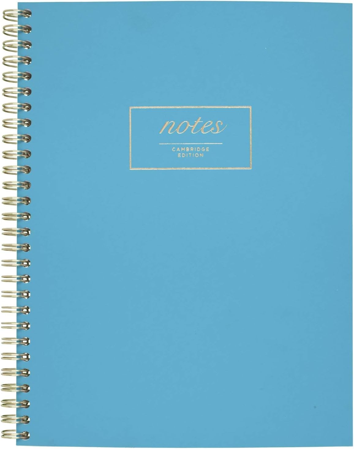 Meeting Notebook, Journal, 9-1/2" x 6-5/8 ", Legal Ruled, 80 Sheets, WorkStyle, Fashion, Teal (49587)