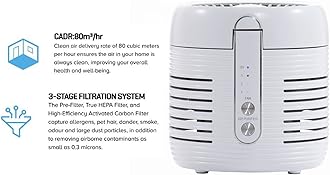 Daewoo 2In1 Air Purifier With Fold Out Cooling Fan, Ultra Quiet, 3 Speed Settings, HEPA 11 Filter That Captures Allergens, Pet Hair, Smoke, Odour And Large Dust Particles For Cleaner, Breathable Air
