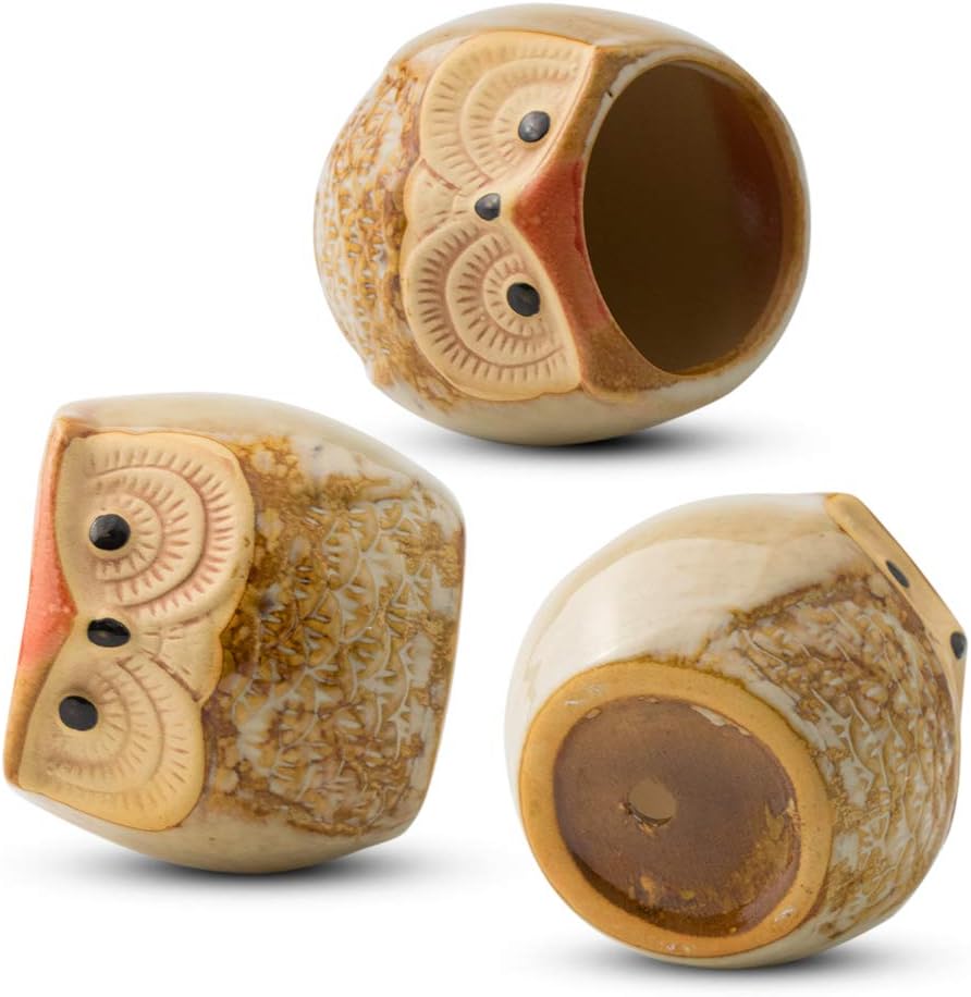 FairyLavie Succulent Pots, 2.5" Owl Planter Owl Pot, Small Pots for Plants Cute Small Planter with Accessories, Great for Home Decor and Ideal Gift, Set of 6 : Patio, Lawn & Garden