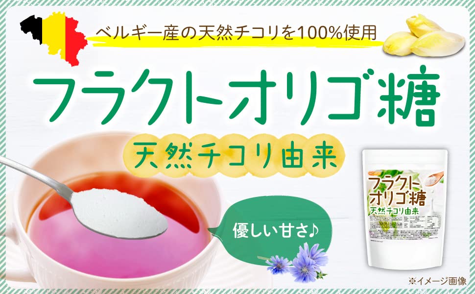 Amazon.co.jp: NICHIGA(ニチガ) フラクトオリゴ糖 500g 天然 チコリ