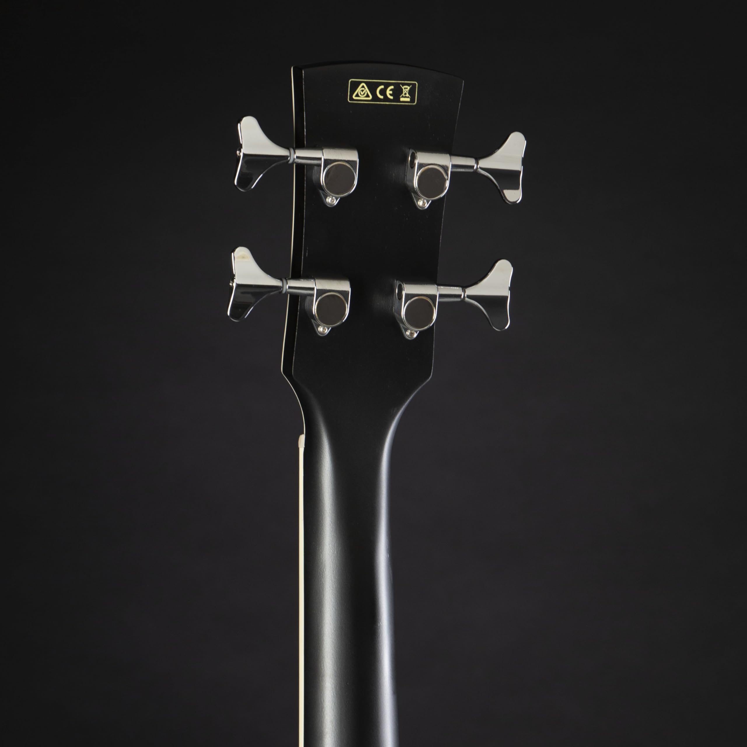 Amazon | Ibanez アイバニーズ パフォーマンス・シリーズ エレアコ