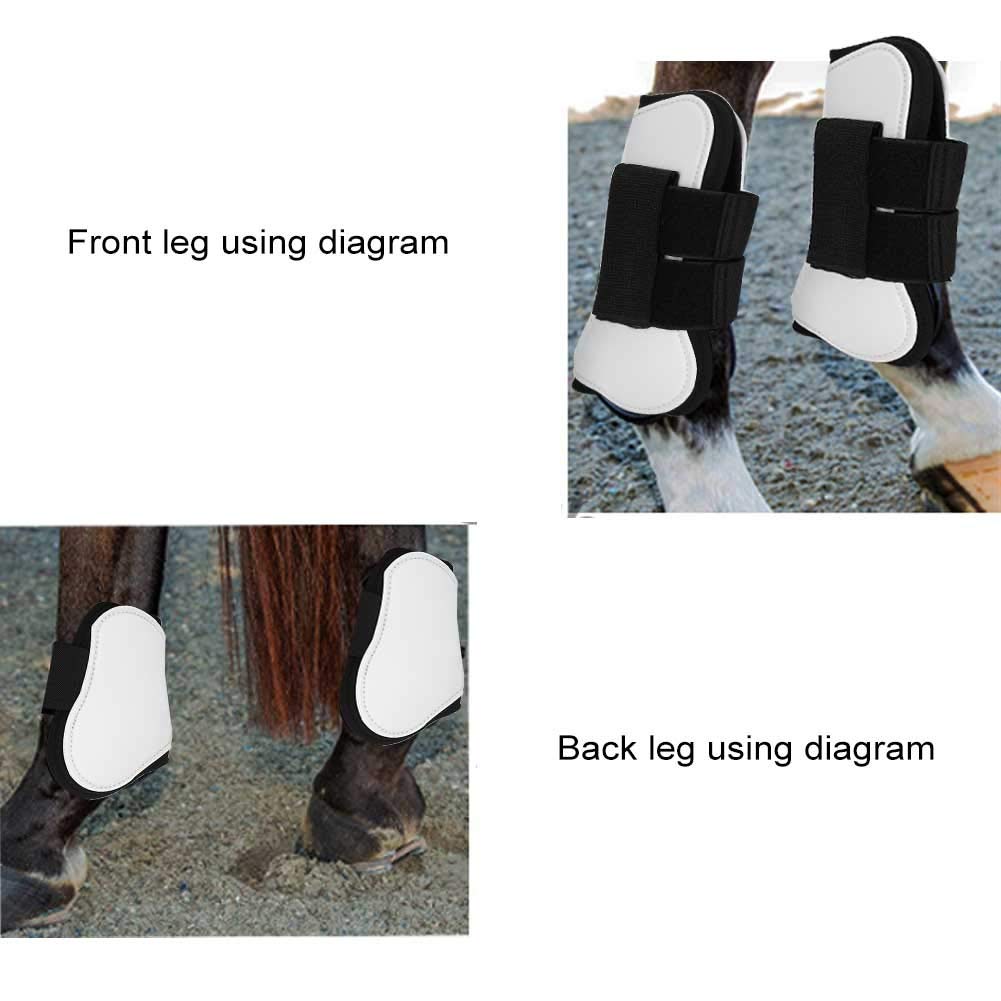 4 Pezzi Paragambe del Cavallo, Paratendini del Cavallo, Paranocche del Cavallo, Guscio in PU Bianco Protezione della Gamba Anteriore del Cavallo Protezione Avvolgente Attrezzatura