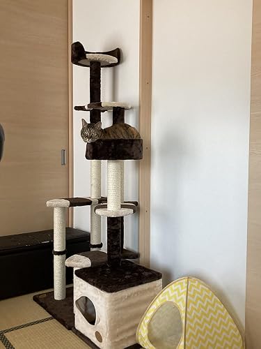 Amazon | アドメイト (ADD. MATE) 猫のおあそびポール お魚ファミリー