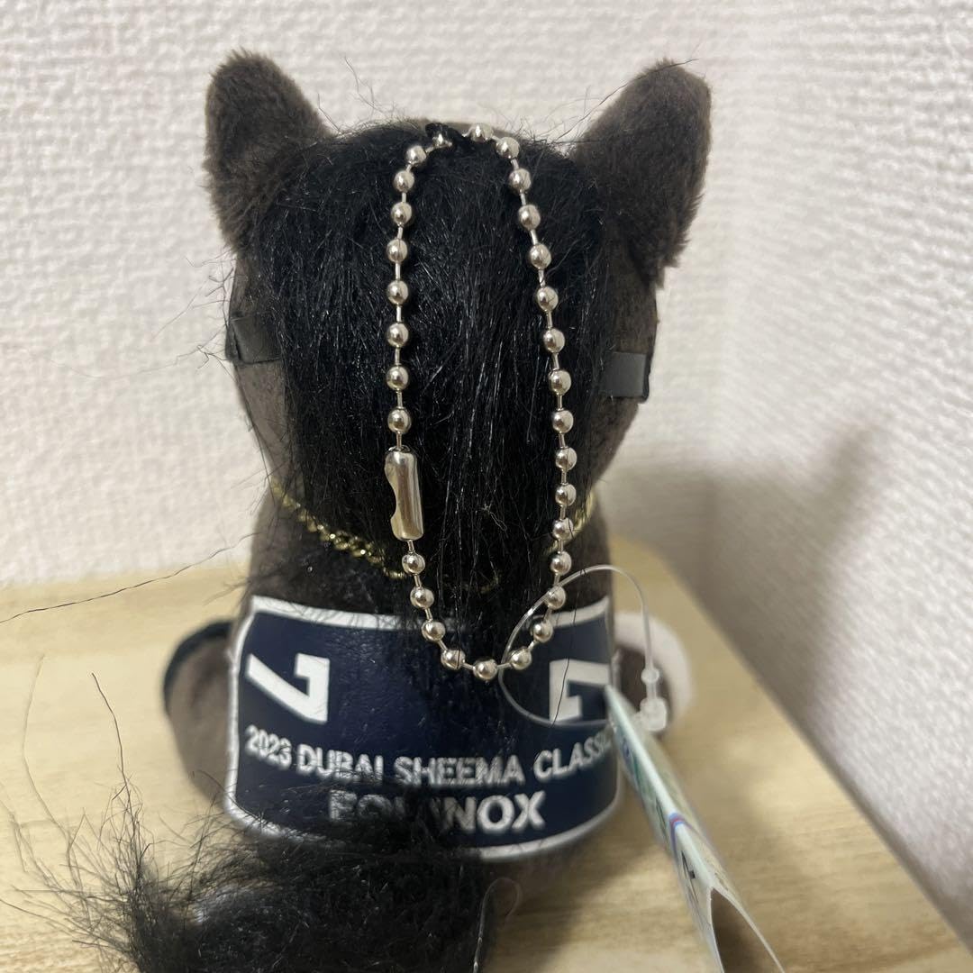 アイドルホース　イクイノックス　ドバイシーマクラシック Amazon.co.jp: イクイノックス アイドルホース ドバイシーマ