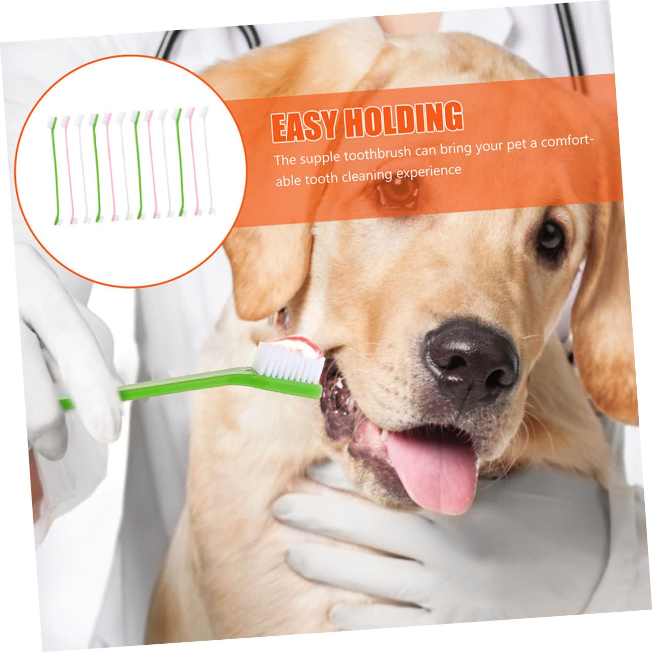 GRIRIW 12pcs Dog Toothbrushes Two Sided Pet Toothbrush Large Breed Toothpaste Kit
