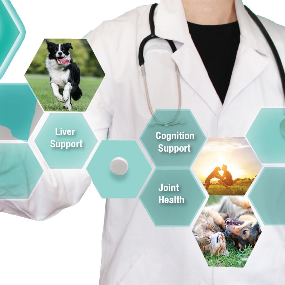 Miniatura 6 de Lo mismo para perros  S-adenosil-L-metionina (mismo)  Apoyo para el hígado, las articulaciones y el cognitivo para perros  Promueve la función