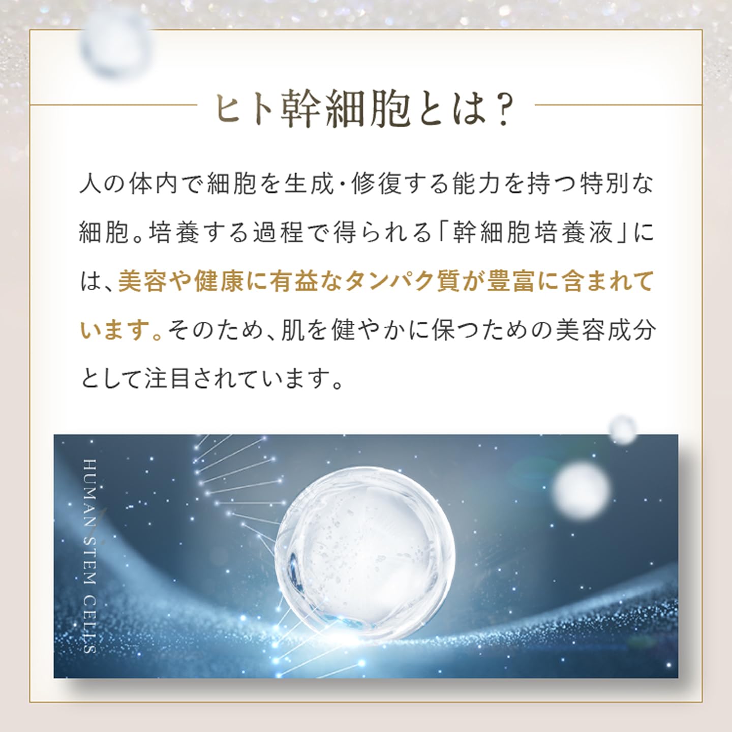 Amazon | ヒト幹細胞 培養エキス 【コスメアカデミア】 ヒト幹細胞培養