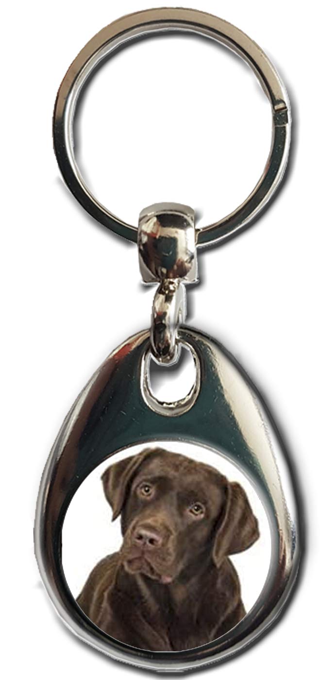 Kazmugz Multicolor Chocolate Labrador Keyring. Heavy Quality Metal Gift Keyring. Double Sided Keychain. Puppy Dog Pet Gift.