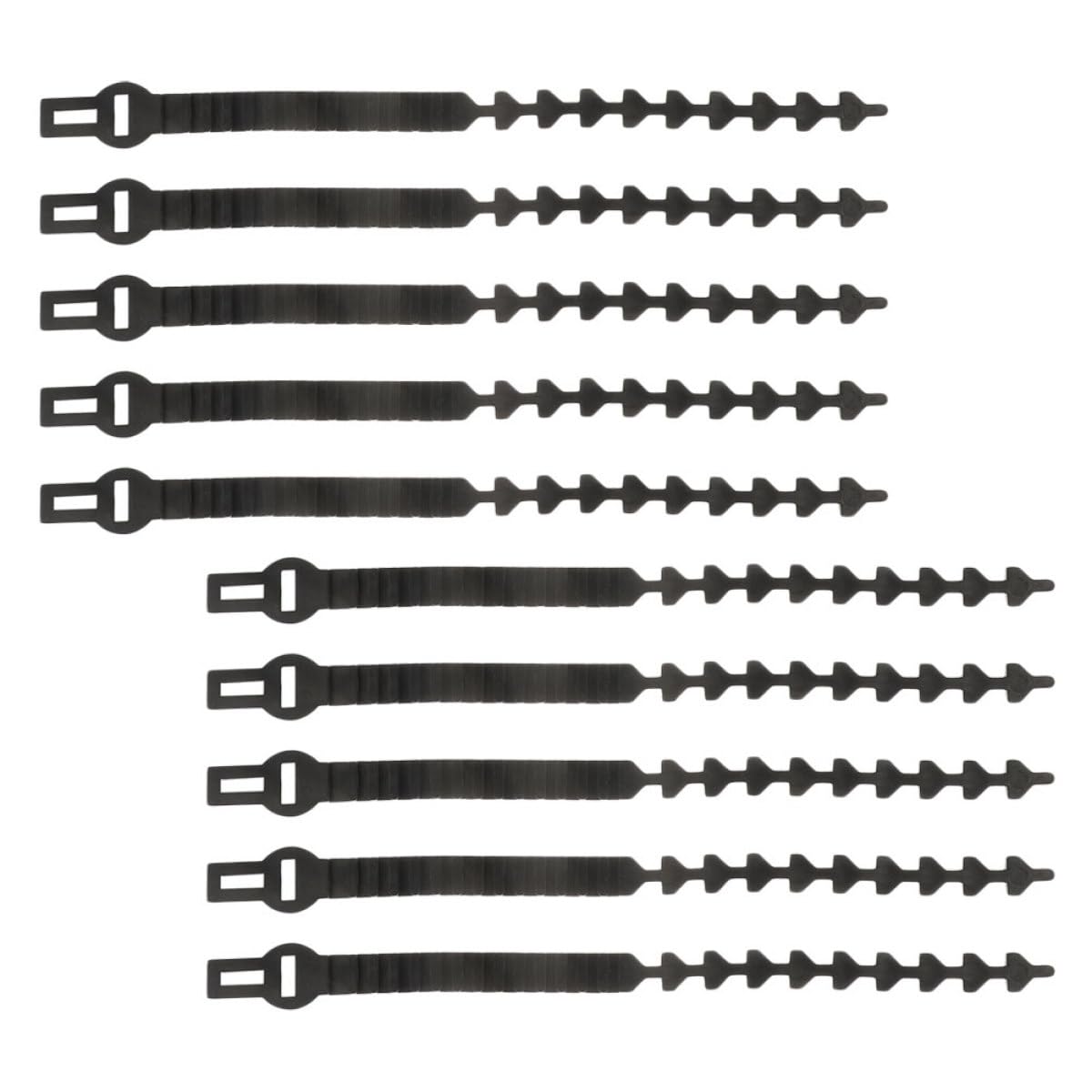 Lot de 10 Sangles de Fixation Ajustables en Caoutchouc pour Arbres Fruitiers Ceintures de Reliure de Branches Résistantes Accessoires de Jardin Extérieurs pour Support et