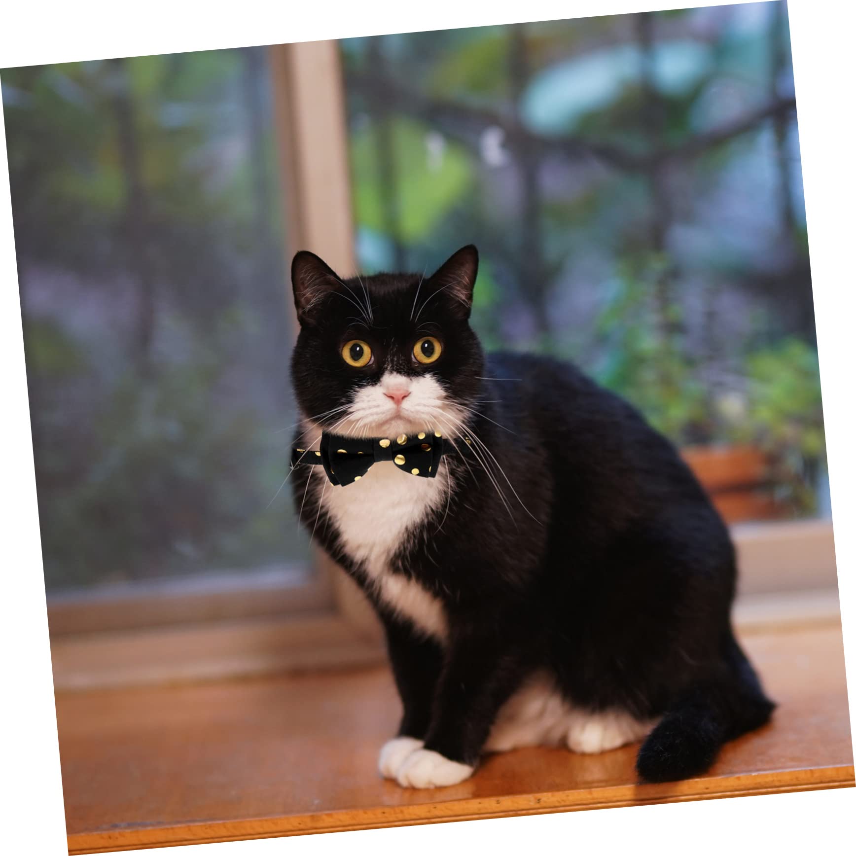 minkissy 4stücke Liebes Katzenhalsband Mit Abnehmbarem Schleifen-Design Waschbar Und Sicher Für Katzen Für Partys Und Festliche Anlässe Mit Glöckchen Für Zusätzlichen Spaß