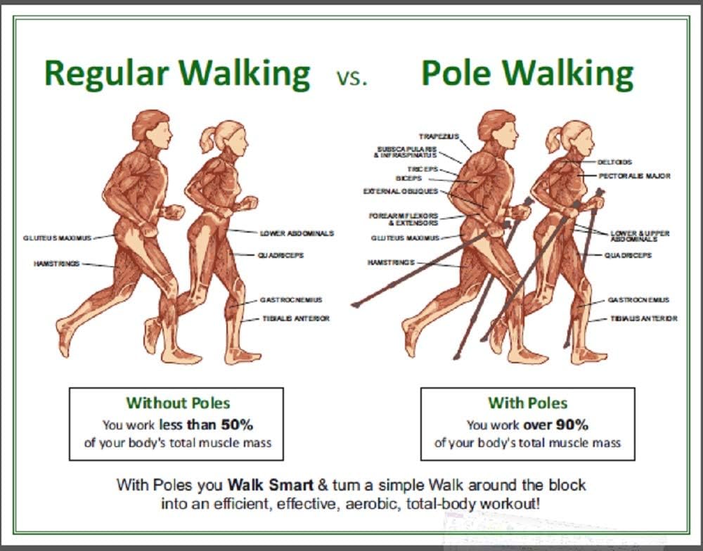 Purple 2-Piece Fitness Exercise Agility Walking Poles