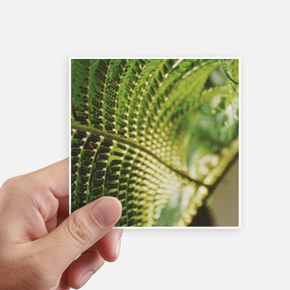 Autocollant carré plantes pour personnaliser un ordinateur portable