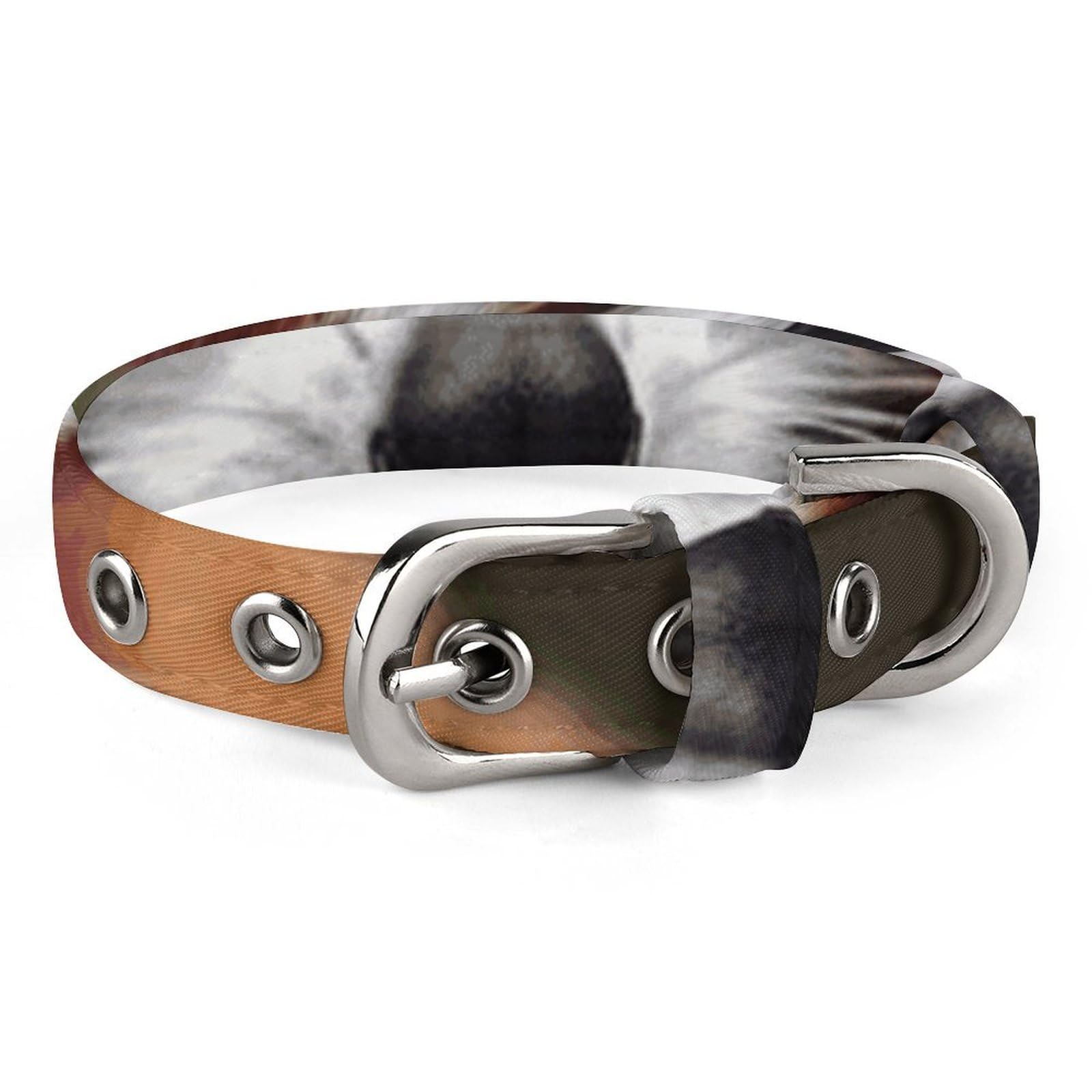 Collier réglable pour chien idéal pour les promenades au parc en ville