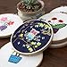 Learn to Embroidery Kits for Beginners, Pre-Stamped Cross Stitch Kits with Pattern, Hoop, Color Threads, Tools & Instruction for DIY Arts and Crafts