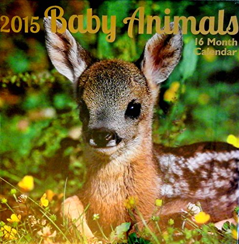 2015 Baby Animals 16 Month Wall Calendar