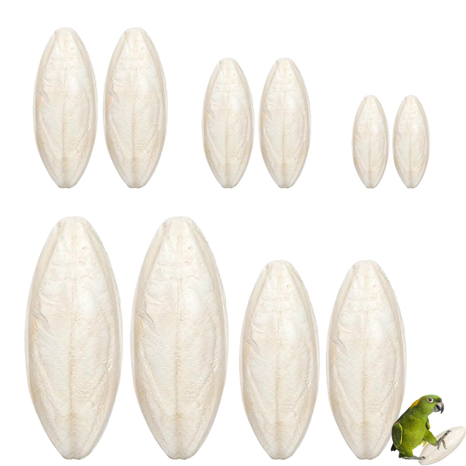 JBLJDWD 12PCS Cuttlefish Bone, Cuttlefish, Cuttlefish Bone for Tortoise, Cuttlefish for Birds, Suitable for Beak Maintenance and Shell Development