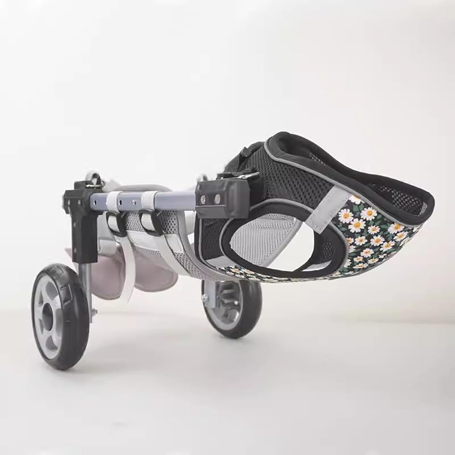 Fauteuil roulant pour chien en promenade - Chariot pour les sorties au parc