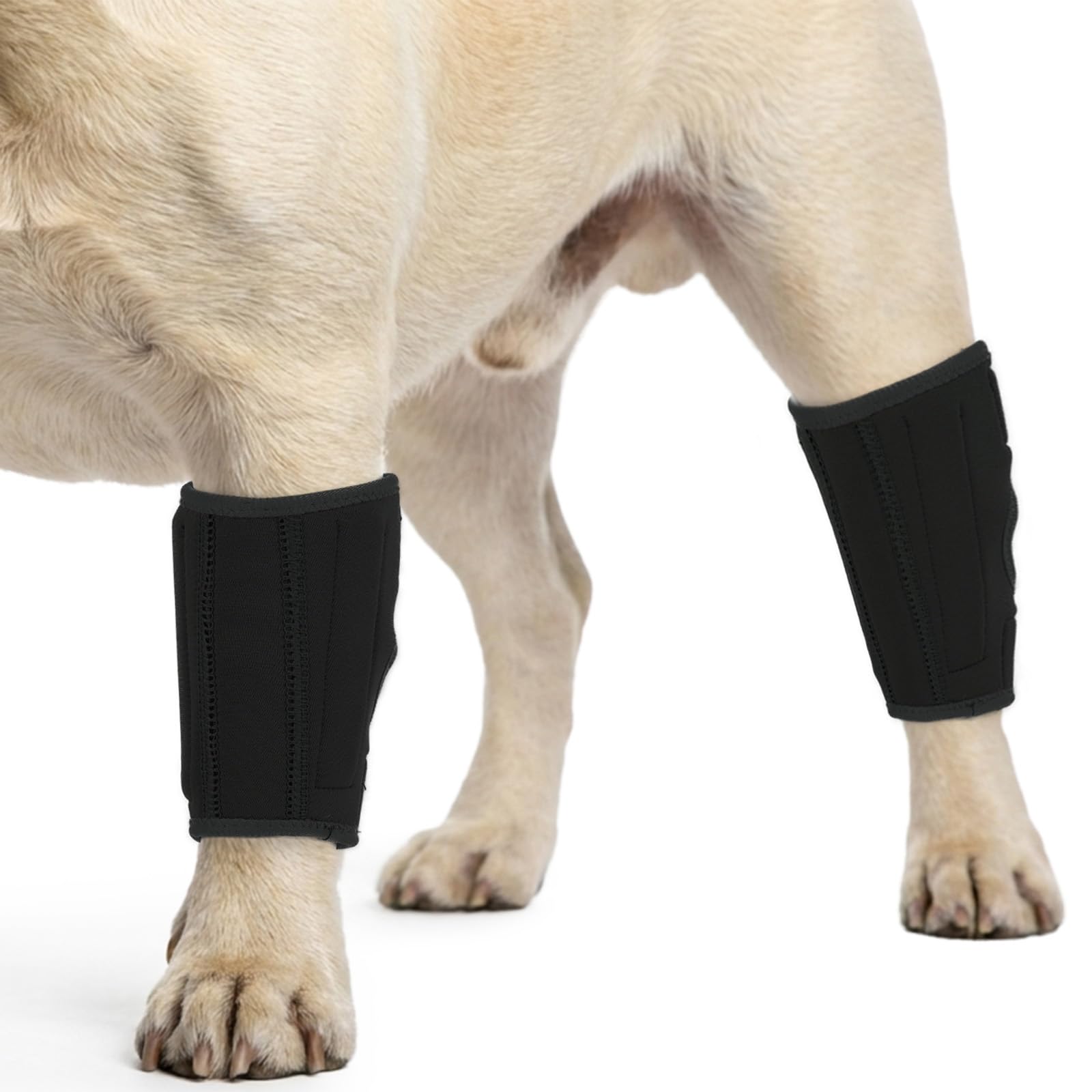 PUMYPOREITY 2Pcs Dog Rear Leg Hock Brace, Dog Hock Joint Brace for Sprains, Front/Hind Leg Support for Arthritis, Stability after Injury, Hock(Ankle) Support HockWrap Sleeve(Black, M)