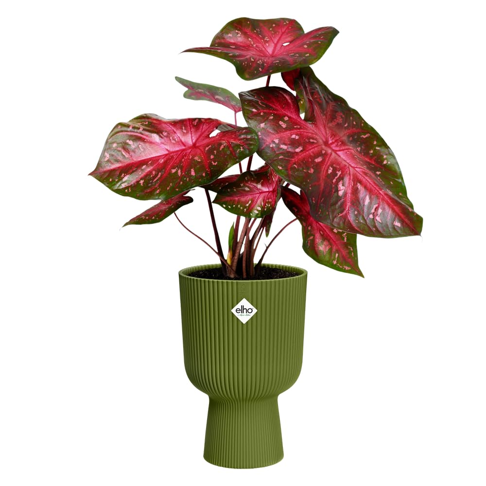elho Vibes Fold Coupe 14 - Indoor Plant Pot - 100% Recycled Plastic - diameter 13.9 x H 21.0 cm - Green/Fern Green - Image 3