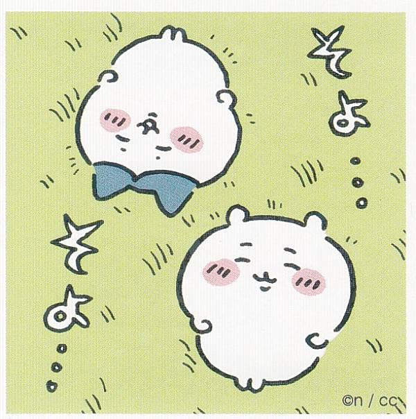 はちわれページ ちいかわ クリアバインダーメモ（ハチワレ） | ちいかわ