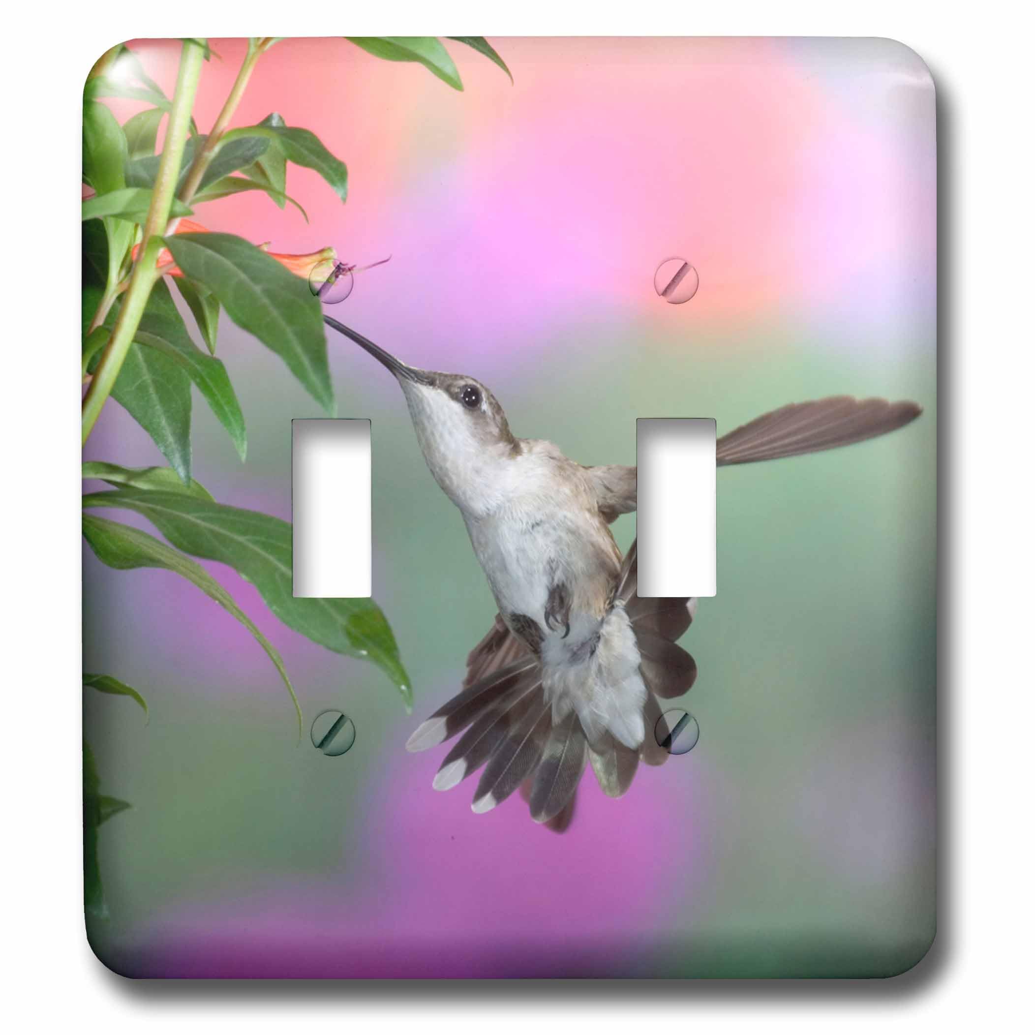 Double interrupteur à bascule colibri femelle lsp_205971_2 3dRose pour rénovation
