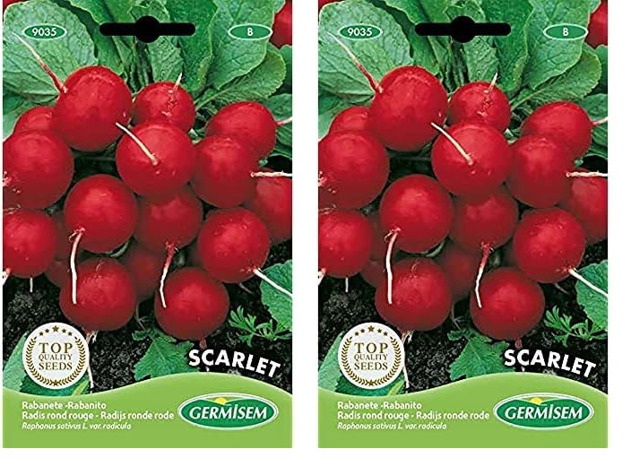 Germisem Scarlet Semillas de Rábano 15 g (EC9035) (Paquete de 2)