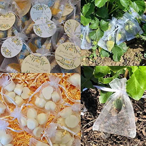 G2PLUS Weiß Organzasäckchen 10x12cm: Kleine Geschenk Organzabeutel, 50 Stück Organza-Beutelchen mit Kordelzug Sie als Hochzeit Bonbonsbeutel, Schmuckbeutel, Geschenkbeutel