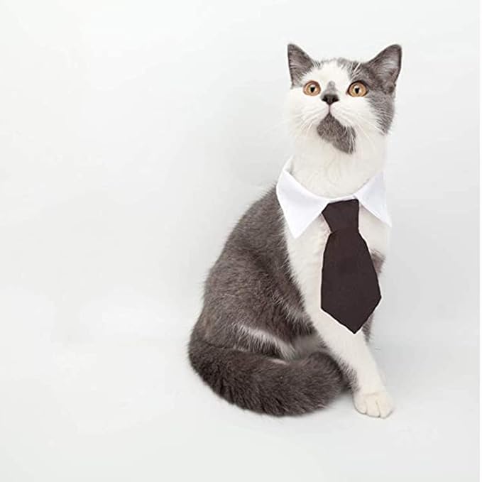 HUYADAPI Corbata y Sombrero Formal Ajustable para Mascotas miniatura 3