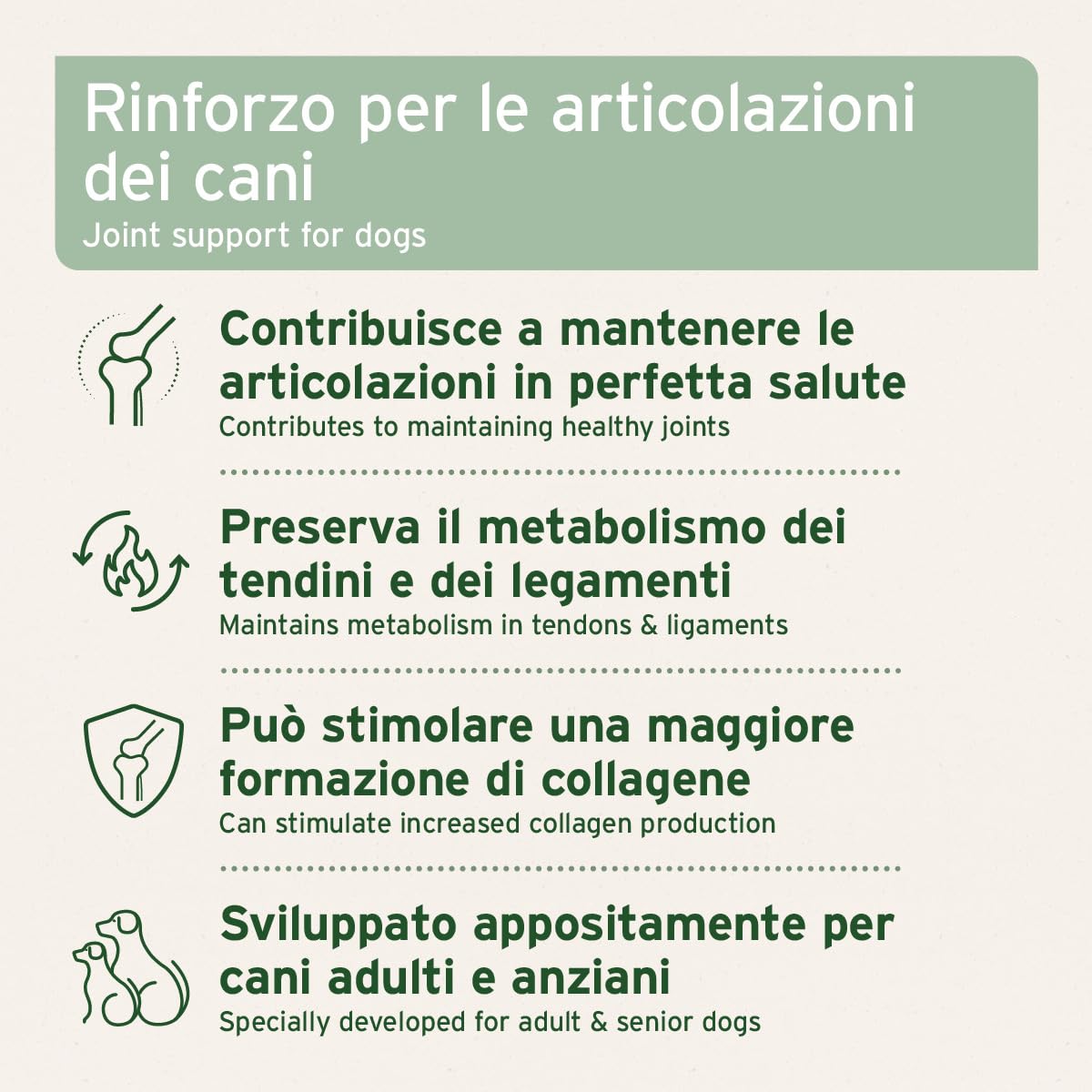 AniForte compresse per articolazioni per cani 300 pezzi - Compresse naturali per articolazioni con cozza dalle labbra verdi, artiglio del diavolo, collagene, glucosamina, condroitina