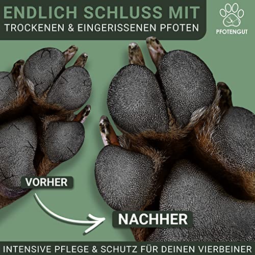 PFOTENGUT® Pfotenbalsam 100ml [Made in Germany] - Pfotenpflege für Hunde gegen trockene und Wunde Pfoten - Hochwertiger Pfotenschutz für Hunde mit Bienenwachs, Sheabutter & Aprikosenkernöl