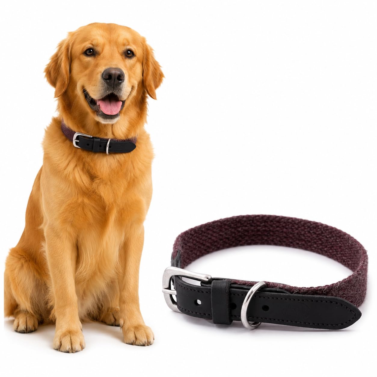Sparrow Daughter Plain Cotton Dog Collar with Leather Reinforcement Adjustable Soft Breathable Neckbelt Heavy Duty Brass Hardware Strong D-Ring Walking Training Pets - Brown, XL